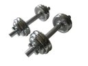 Ver imagem 6 de Kit 2 Barras com Anilhas Ferro Fundido Pelegrin PEL-10CR Cromado 15kg