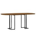 Ver imagem 1 de Mesa de Jantar 6 Lugares Retangular Orgânico 180cm Pés Industrial Alina N01 Cinamomo Preto - Lyam
