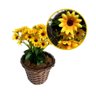 Arranjo De Girassol Flor Artificial + Vaso Fibra Sintética Tamanho:Pequeno - 1