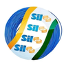 Cabo Flexível Sil 10mm 750V Rolo com 100m Azul - 5