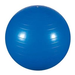 Bola Ginástica 55cm Azul - 1 Bola Ginástica 55cm Azul - 1