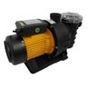 Bomba para Piscina 1f-m2 1cv - Monofásica 220v Jacuzzi 53016903 - 3