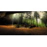 Papel de Parede 3D Floresta 0015 - Papel de Parede Paisagem - 2