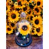 Luminária Redoma de Vidro com Pitão O Girassol Encantado Base na Cor preto Amor Lindo - 1