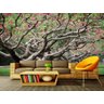 Papel de Parede Paisagens Floresta 189 - 1,00 X 1,00 - 1
