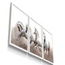 Kit 3 Quadro Decorativo Cavalo Equino Rural - 1