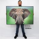 Ver imagem 2 de Quadro Decorativo em Canvas Elefante Africano TaColado Moldura Flutuante 4,5cm Freijó 120 x 80cm