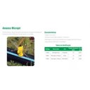 Ver imagem 2 de Spray Microjet Rosca 27l-h Vermelho Amanco