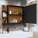 Ver imagem 2 de Espelheira Suspensa Armário de Banheiro Closet Porta Prateleiras Nicho Organizador Iris Preto Nature
