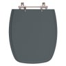 Assento Sanitario Plus Cinza Escuro para Bacia Fiori 6lpf - 1