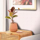 Ver imagem 2 de Papel de Parede Arabesco Kalba - Várias Cores - Rosa