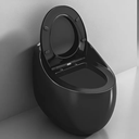 Ver imagem 5 de Vaso Sanitário Caixa Acoplada (Monobloco) Black Pearl