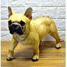 Figura Cão Cachorro Decorativo Buldogue Francês Estatueta - Marrom - 1