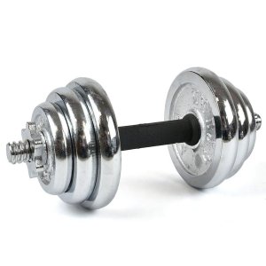 Halter Peso Ajustavel 25kg Anilhas Cromado Academia Musculaçao Cross Treino Exercicio Fitness