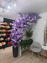 Ver imagem 1 de Arvore Flores de Cerejeira 2.0 Metros Curvada Realista Lilás