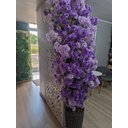 Ver imagem 2 de Arvore Flores de Cerejeira 2.0 Metros Curvada Realista Lilás