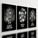 Ver imagem 1 de Kit 3 Quadro Decorativo Física Einstein Tesla Newton Ciencia 28x20cm