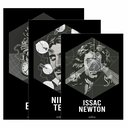 Ver imagem 4 de Kit 3 Quadro Decorativo Física Einstein Tesla Newton Ciencia 28x20cm