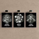 Ver imagem 2 de Kit 3 Quadro Decorativo Física Einstein Tesla Newton Ciencia 28x20cm