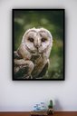Ver imagem 2 de Quadro Decorativo Foto Coruja Fundo Verde - 70x50cm:moldura Branca