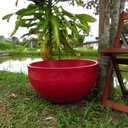 Ver imagem 1 de Vaso Planta 60x30 Bacia Polietileno