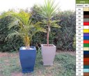 Ver imagem 1 de Kit 2 Vaso Planta 60x40 Moderno Trapézio Polietileno - CORES VARIADAS