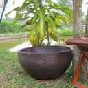 Ver imagem 1 de Vaso Planta 60x30 Bacia Polietileno