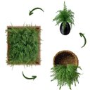 Ver imagem 3 de 4 Buquês Samambaia Artificial Decorativa com Aparência Natural