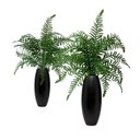 Ver imagem 6 de 4 Buquês Samambaia Artificial Decorativa com Aparência Natural