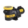 Motobomba para Piscina 3B 3 CV Monofásico Jacuzzi - 1