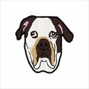 Ver imagem 1 de TAPETE CACHORRO BULL DOG, TAPETE DE PETS DECORÇÃO. TAPETES DE COLEÇÃO