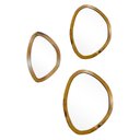 Ver imagem 1 de Kit Espelho Decorativo Orgânico Freijó 29x44cm, 43x58cm e 58x70cm Epmg