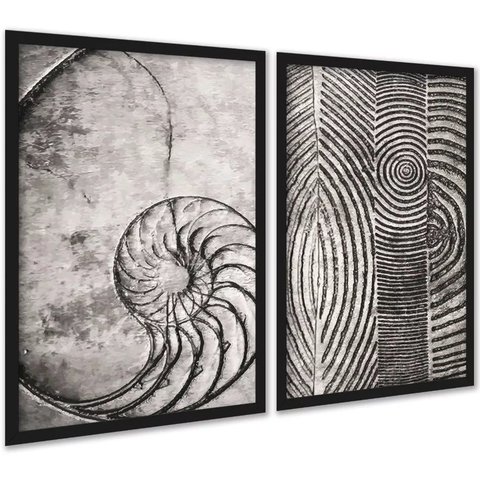 Kit 2 Quadros Decorativos Fibonacci Conchas Cinzas 33x24cm - com Vidro:moldura Preta
