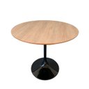Ver imagem 1 de Mesa de Jantar Tulipa Saarinen Redonda 90 Cm Tampo Jade Linn Design Decor Mesa de Jantar Tulipa Saar