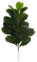 Ver imagem 1 de Planta Árvore Artificial Ficus Lyrata Real Toque X20 Verde 60cm