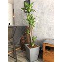 Ver imagem 2 de Vaso de Planta Quadrado Decorativo Polietileno 45x35 + Prato