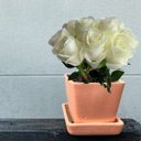 Ver imagem 4 de Kit 5 Rosas Artificiais Brancas Premium Toque Real Decoração Luxuosa