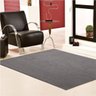 Tapete Antiderrapante 1,50M x 1,00M Lhama Cinza - Vilela - 1