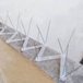 Anti Pombos Espiculas Metal Metro Kit 100 metros + Silicone - 2