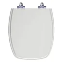 Ver imagem 1 de Assento Sanitário Laqueado Soft Close Amarilis Cinza Claro para vaso Fiori