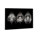 Ver imagem 1 de Quadro Negacionista -- BR ARTES