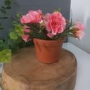 Ver imagem 2 de Kit 20 mini Vasos Suculentas Jardim Cactos Jardim Barro Casa Dami Decor Vaso Ceramica