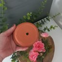 Ver imagem 3 de Kit 20 mini Vasos Suculentas Jardim Cactos Jardim Barro Casa Dami Decor Vaso Ceramica