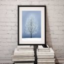 Ver imagem 2 de Quadro Minimalista Árvore - 60x48cm:madeira Branca