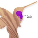 Ver imagem 3 de Quadro Placa Beija-flor em Mdf para Pintura Jardim Decoração