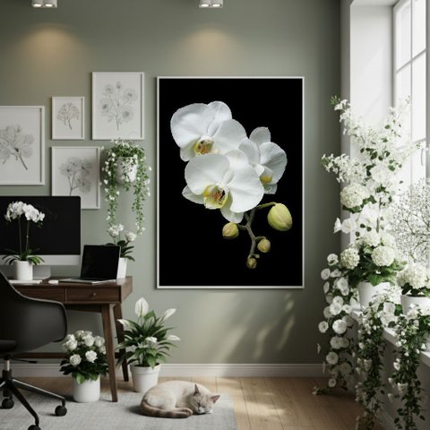 Quadro Decorativo Orquídea Pura 70x50cm Mold Preta