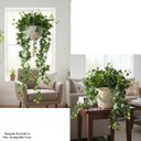 Ver mais imagens de Kit 2 Pendente de Hera Trepadeira Artificial 100cm Decoração