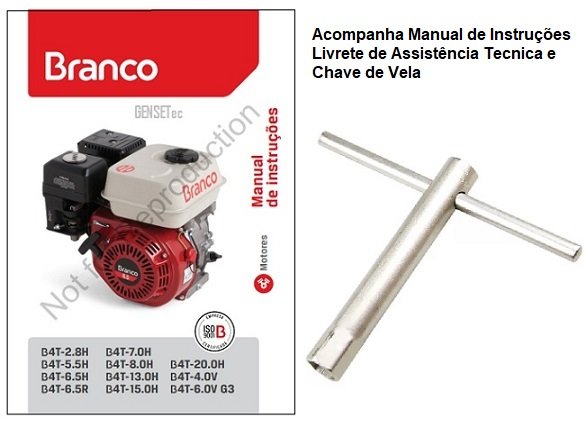 Motor Branco B4t 6.0v G3 Eixo Vertical Longo 6hp - 2