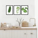 Ver imagem 1 de Kit 3 Quadros Decorativos Minimalistas Plantas 33x24cm:moldura Preta