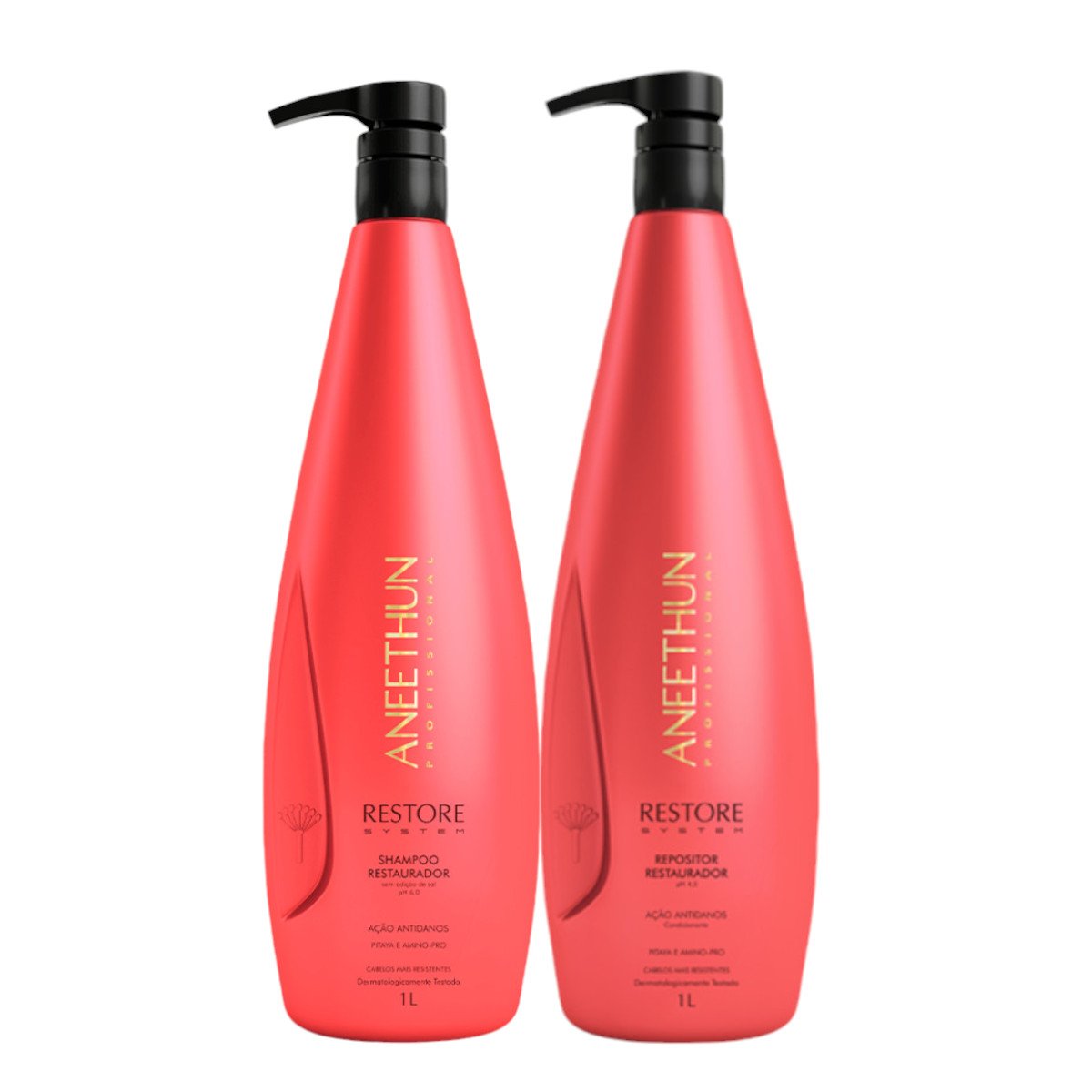 Kit Aneethun Restore System Shampoo 1l+repositor 1l